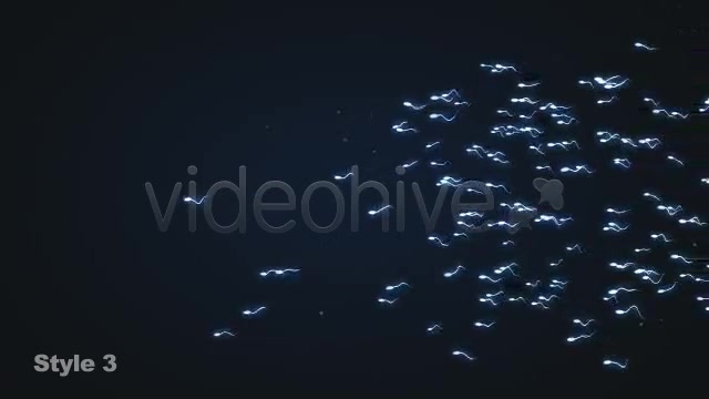 Sperm Swimming 3 Different Styles Looping Videohive 2021287 Motion Graphics Image 9