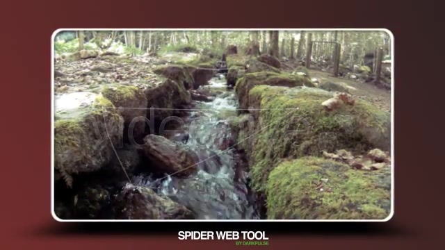 Spider Web Tool - Download Videohive 1164696