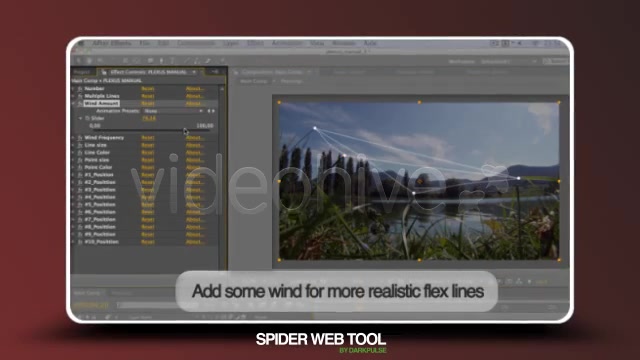 Spider Web Tool - Download Videohive 1164696