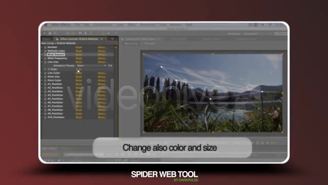 Spider Web Tool - Download Videohive 1164696