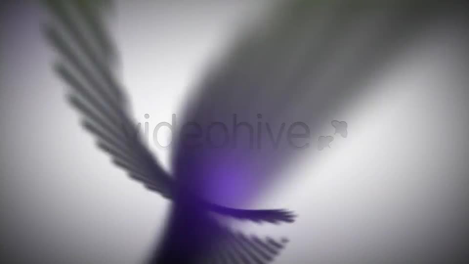 Spiral II Videohive 3853728 After Effects Image 1
