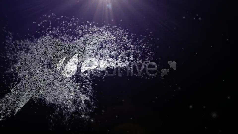 Splash Logo Videohive 230837 After Effects Image 2