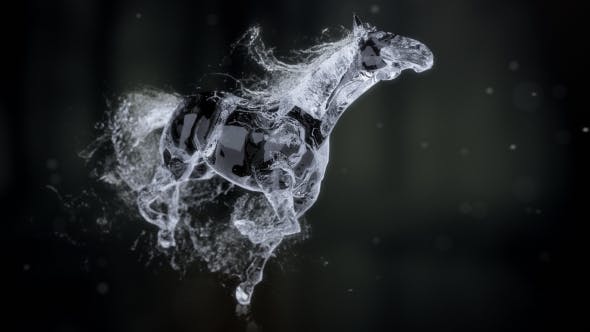 Splashing Horse Logo Reveal - Videohive Download 20457656