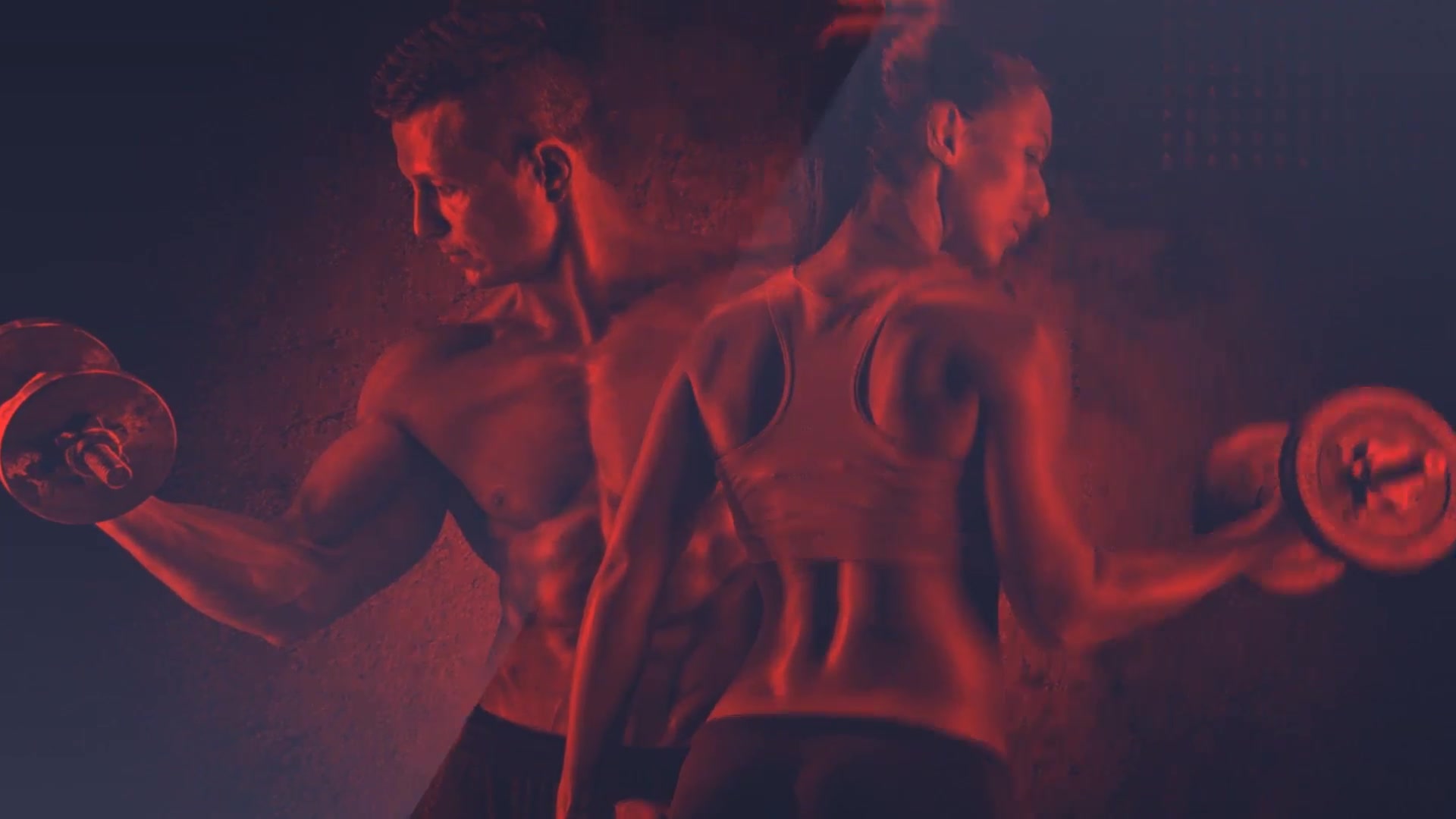 Sport Club Crossfit Fitness Gym Videohive 23641288 After Effects Image 7