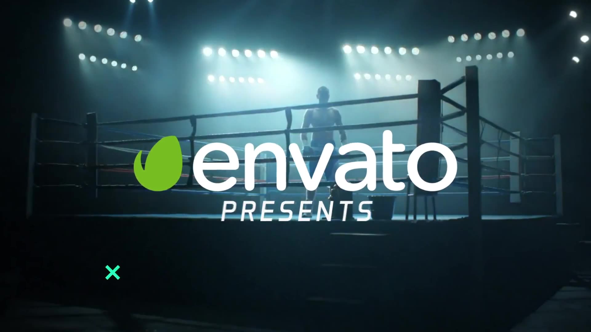 Sport Event Promo / Fight Videohive 24927370 After Effects Image 2
