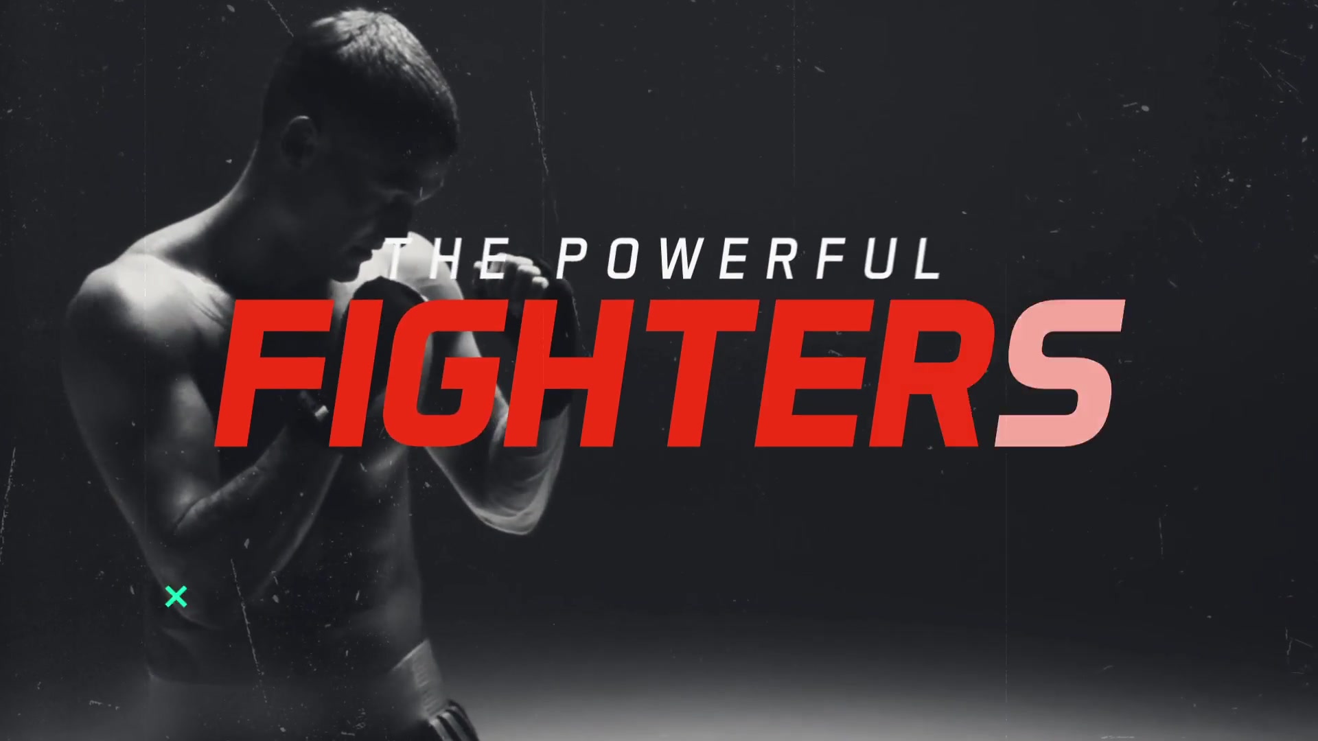 Sport Event Promo / Fight Videohive 24927370 After Effects Image 7