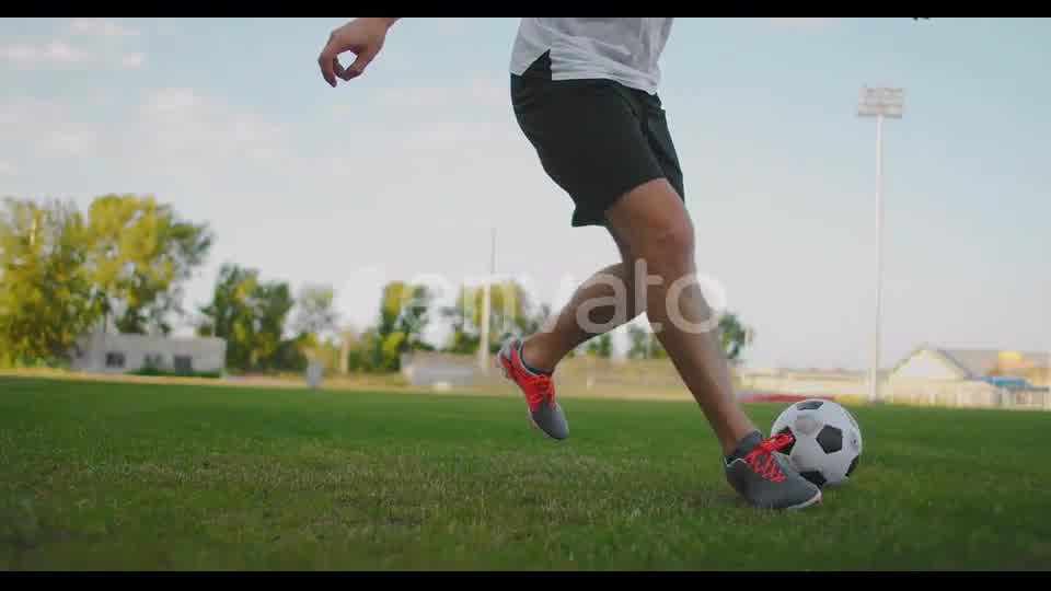 Sport Logo Transition Videohive 30469644 After Effects Image 12