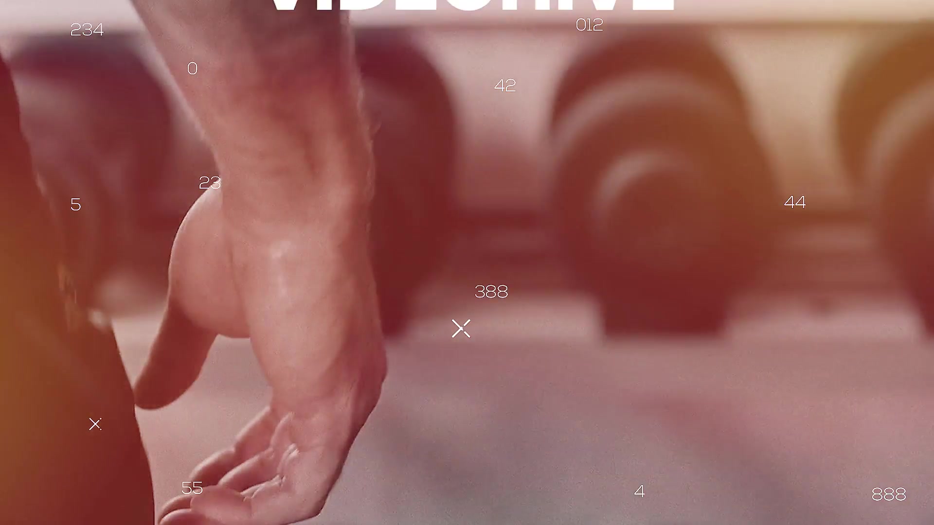 Sport Stomp Videohive 22043070 Premiere Pro Image 3