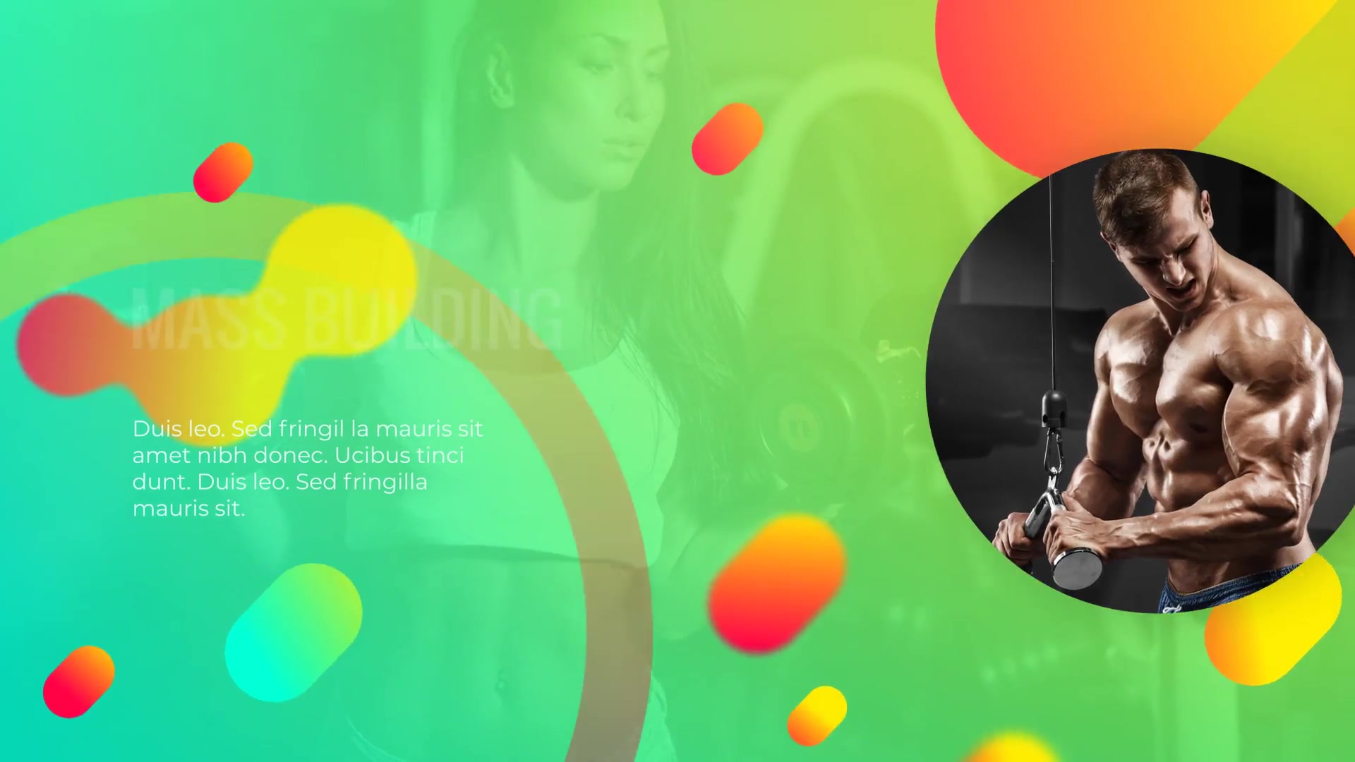 Sporty Club Fitness Promotion Videohive 23683015 After Effects Image 5