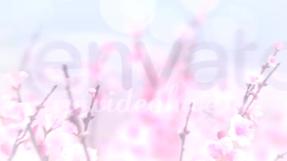 Spring Blossom Apple Motion - Download Videohive 15789789