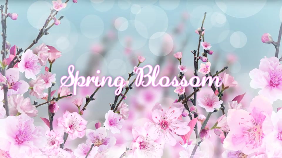 Spring Blossom - Download Videohive 7133339