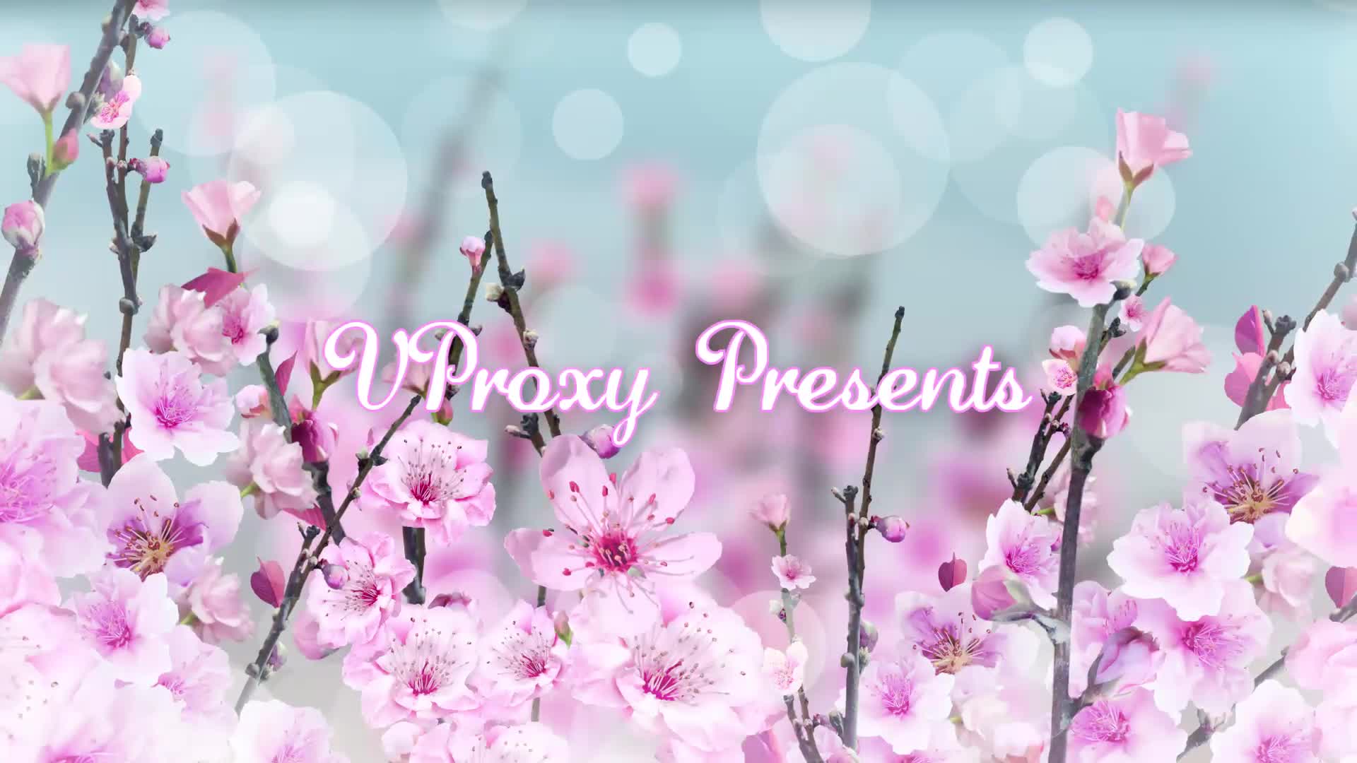 Spring Blossom Premiere Pro Videohive 26320281 Premiere Pro Image 1