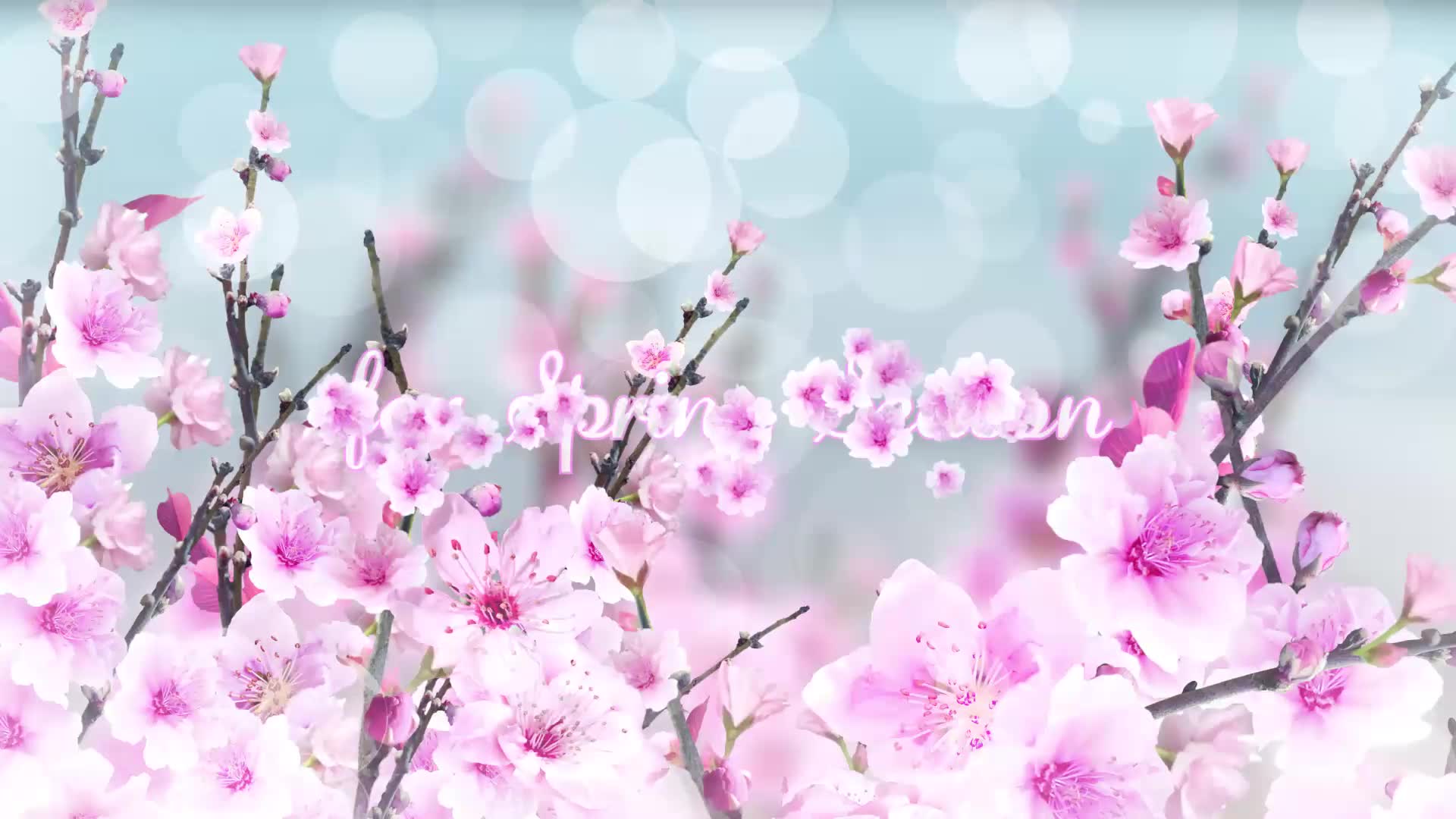 Spring Blossom Premiere Pro Videohive 26320281 Premiere Pro Image 2