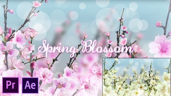 Spring Blossom Premiere Pro - Download 26320281 Videohive
