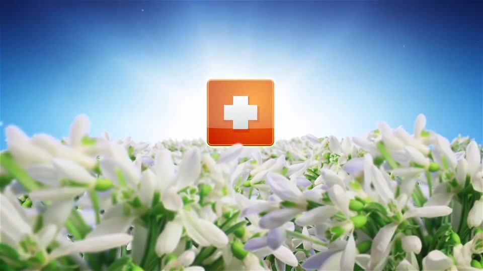 Spring Flowers Logo Sting Videohive 7750658 After Effects Image 10