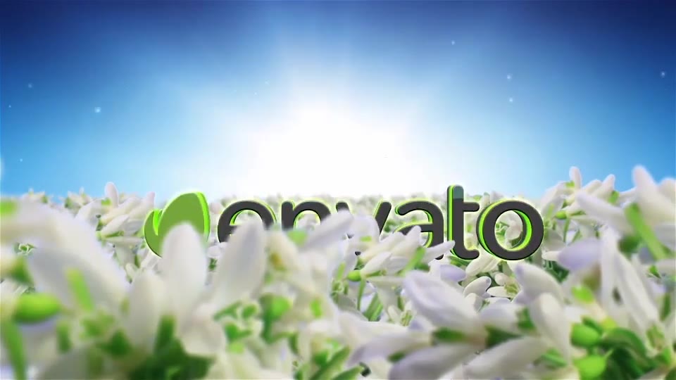 Spring Flowers Logo Sting Videohive 7750658 After Effects Image 2