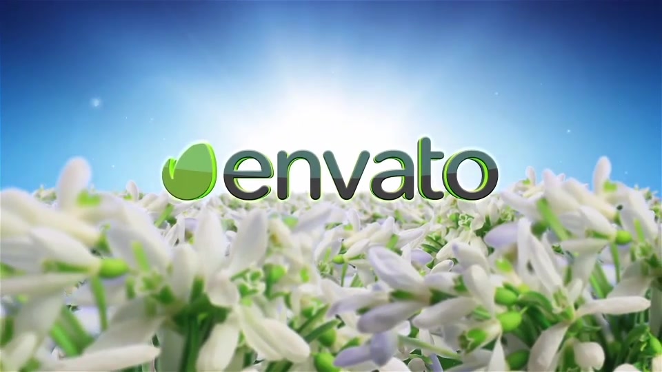 Spring Flowers Logo Sting Videohive 7750658 After Effects Image 4