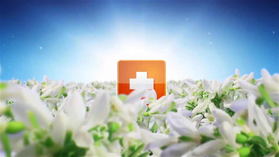 Spring Flowers Logo Sting Videohive 7750658 After Effects Image 7