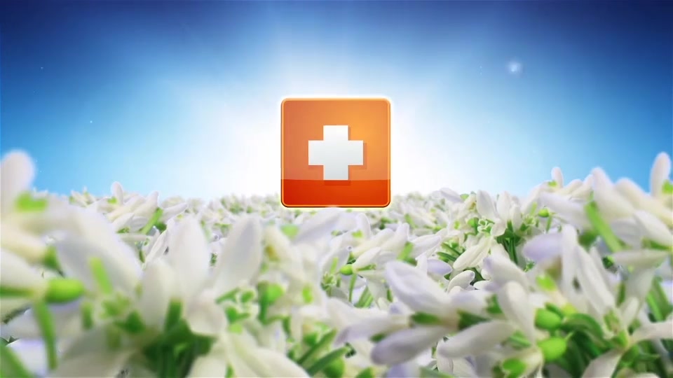 Spring Flowers Logo Sting Videohive 7750658 After Effects Image 8