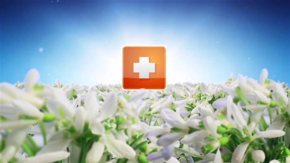 Spring Flowers Logo Sting Videohive 7750658 After Effects Image 9