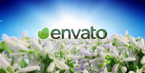 Spring Flowers Logo Sting - 7750658 Videohive Download