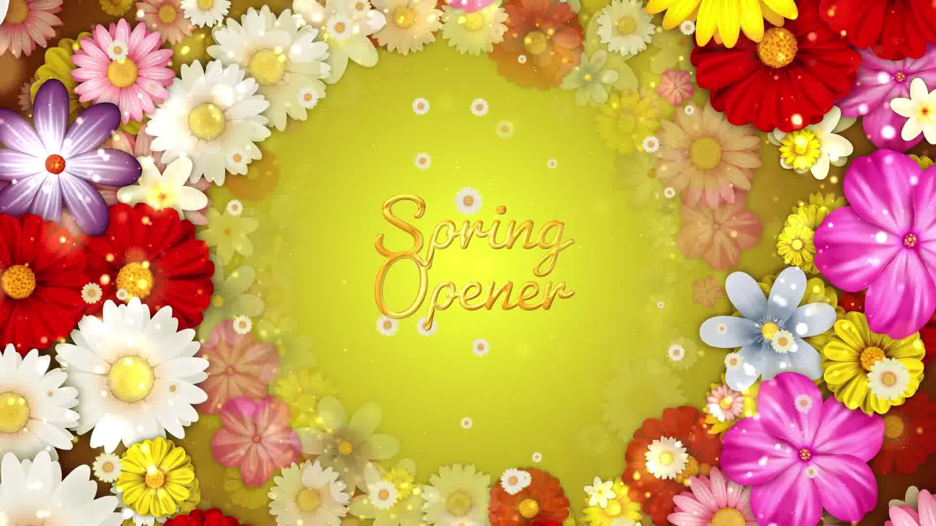 Spring Flowers Titles Videohive 36766429 After Effects Image 11