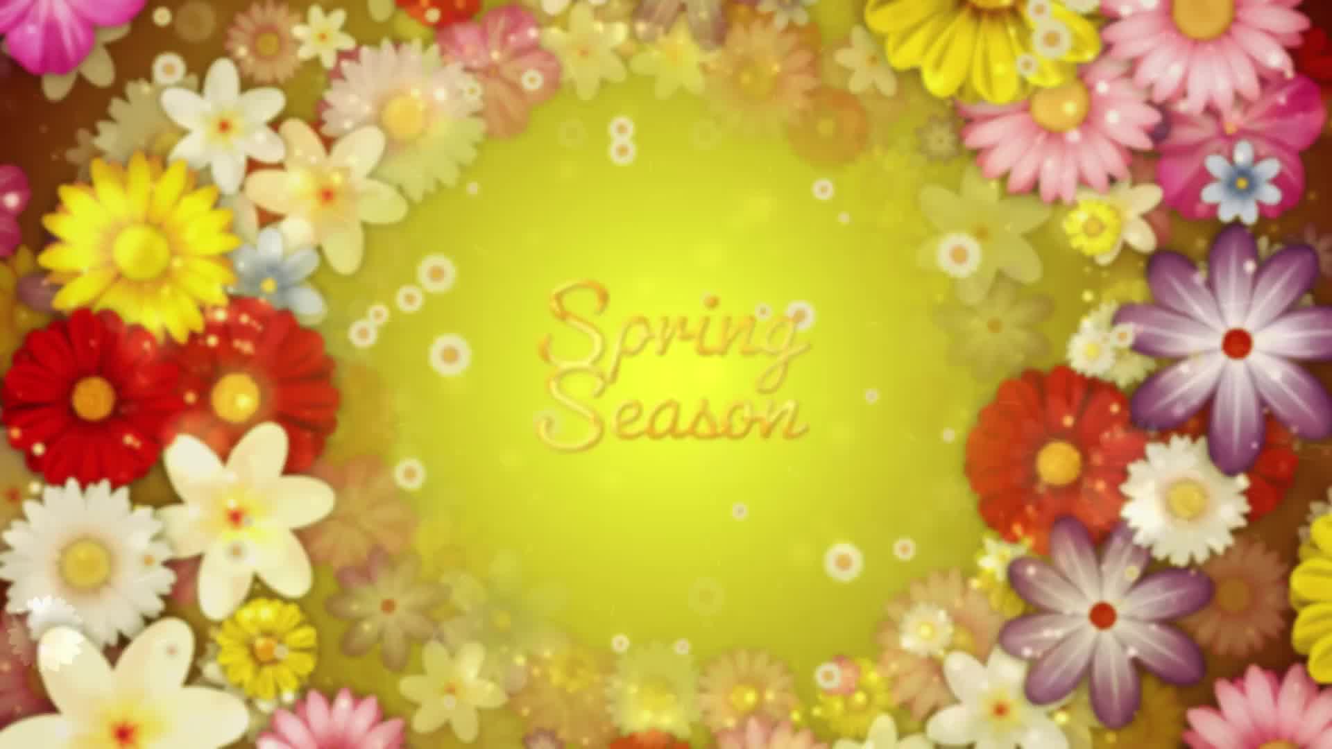 Spring Flowers Titles Videohive 36766429 After Effects Image 8