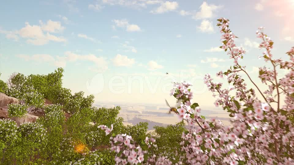 Spring Forest Nature Logo Videohive 31875173 After Effects Image 1