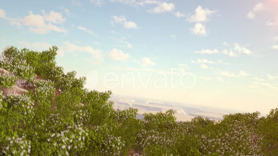 Spring Forest Nature Logo Videohive 31875173 After Effects Image 2