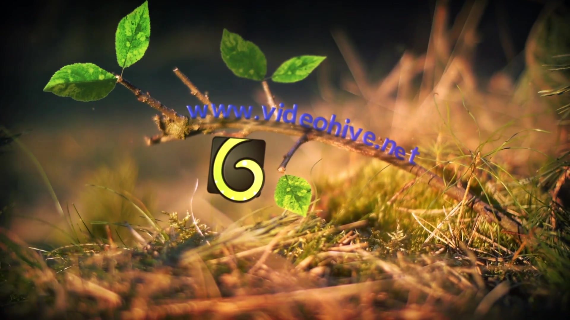 Spring Leaves Logo - Download Videohive 10984145