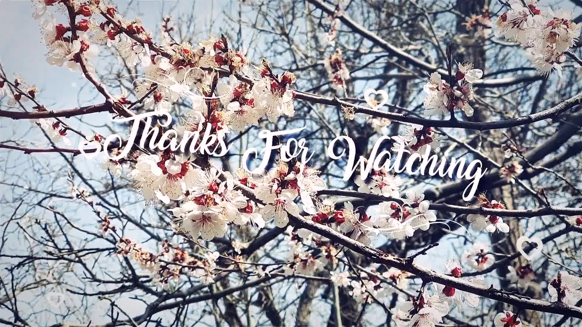 Spring Lovely Wedding Photo Slide Videohive 31789980 After Effects Image 11