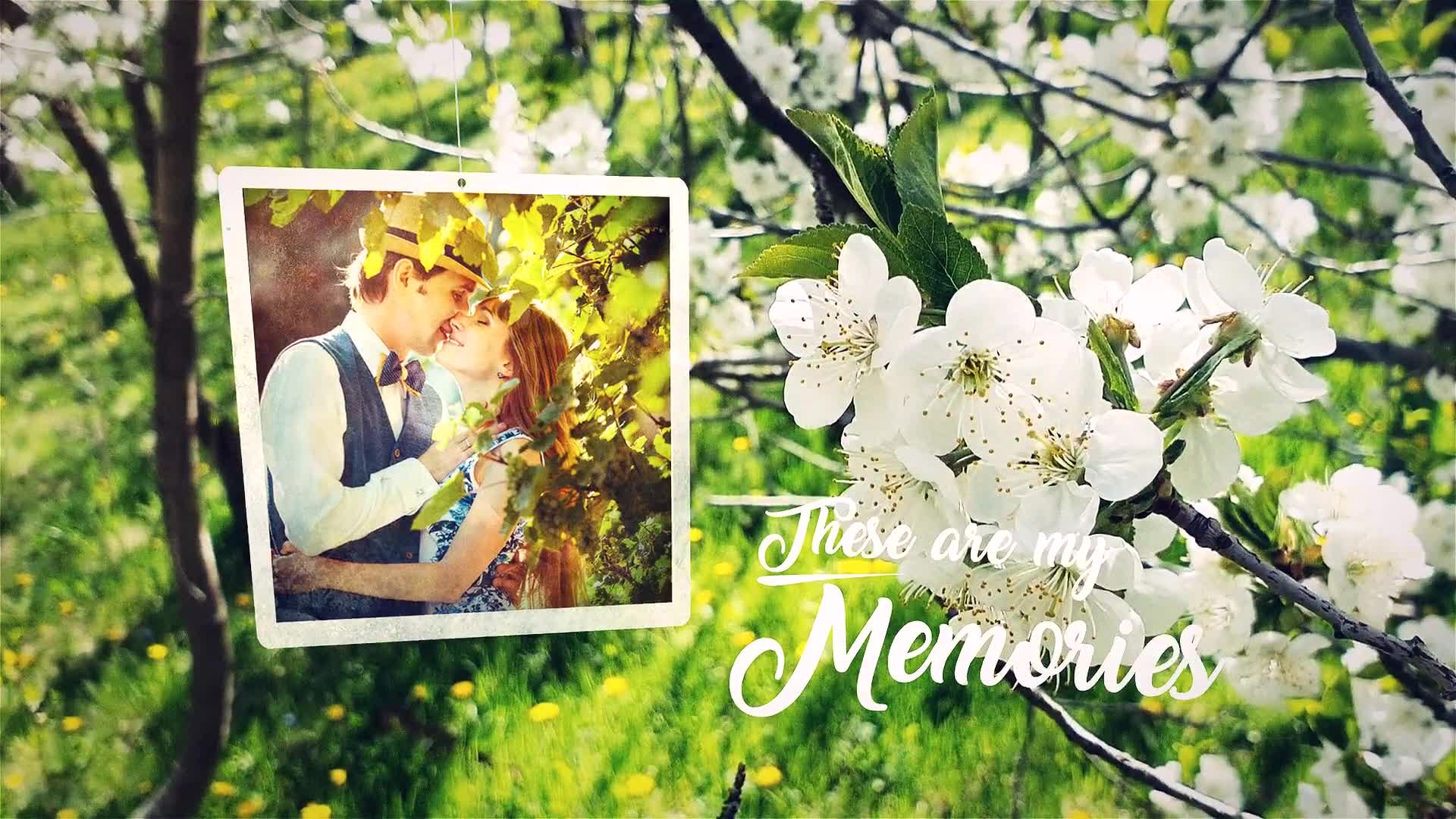 Spring Lovely Wedding Photo Slide Videohive 31789980 After Effects Image 3