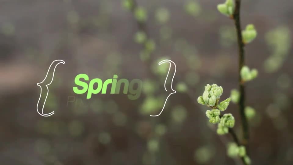 Spring Photo Gallery - Download Videohive 7712946