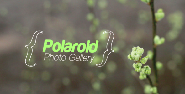 Spring Photo Gallery - Download Videohive 7712946
