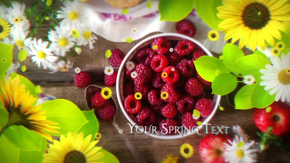 Spring Slideshow - Download Videohive 21839087
