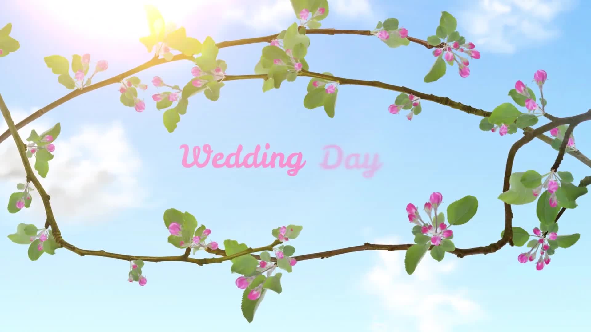 Spring Slideshow / Wedding Titles Videohive 23774510 Premiere Pro Image 1