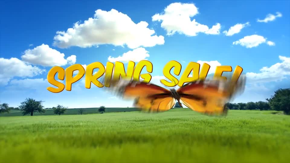 Spring & Summer Sale! Videohive 21604493 After Effects Image 1