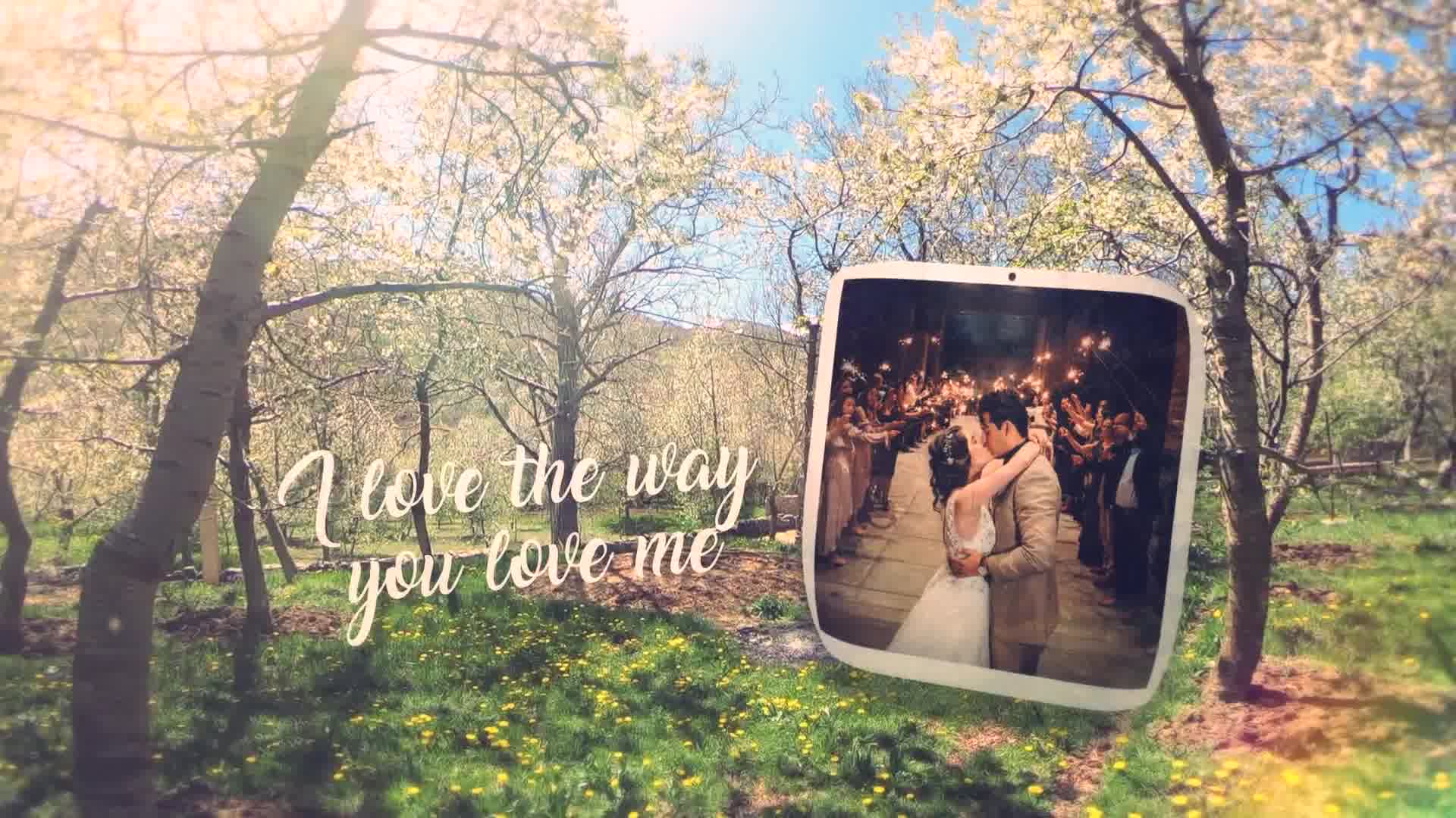 Spring Wedding Slide Videohive 23802640 After Effects Image 11