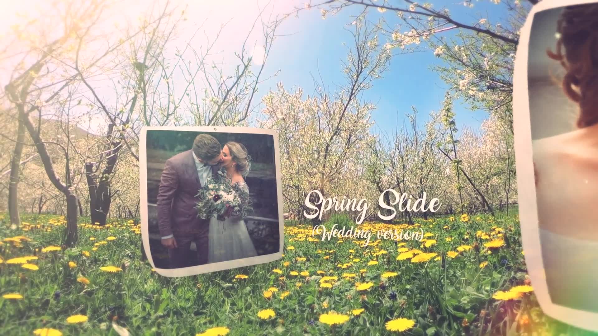 Spring Wedding Slide Videohive 23802640 After Effects Image 2