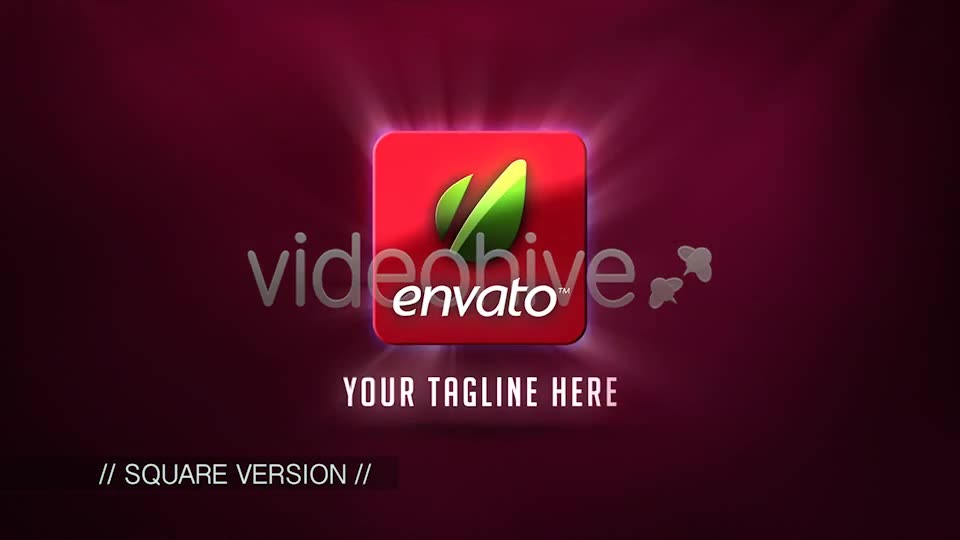 Square & Circular Logo Sting - Download Videohive 2855334