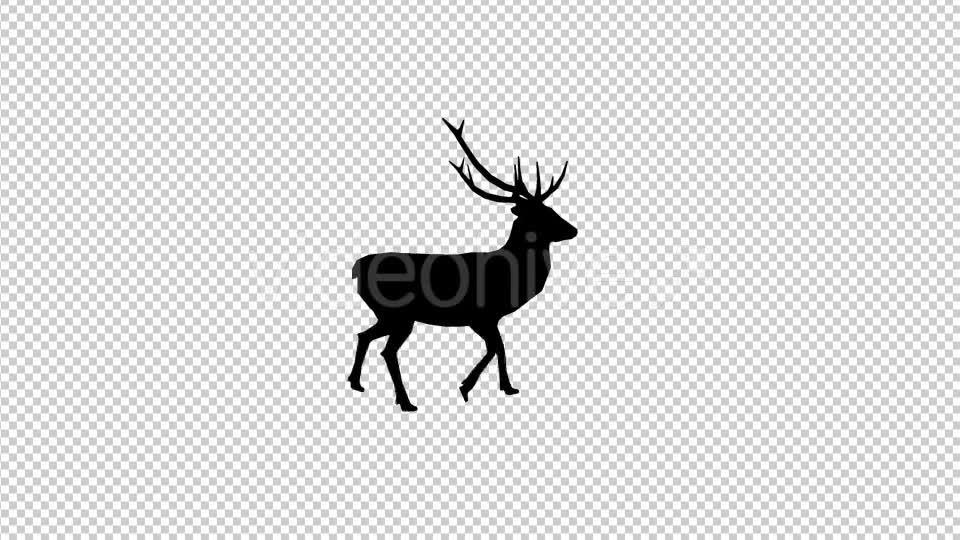 Stag Walk Silhouette - Download Videohive 19882054