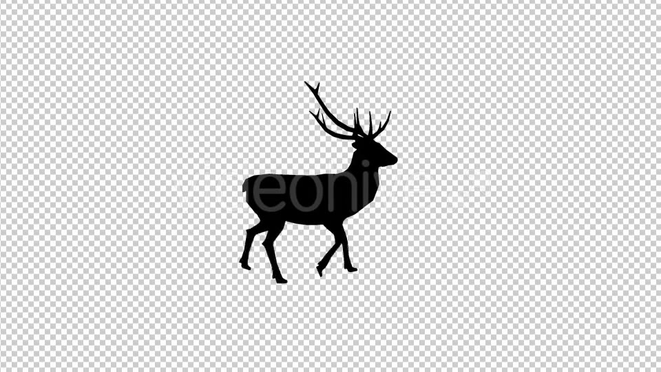 Stag Walk Silhouette - Download Videohive 19882054