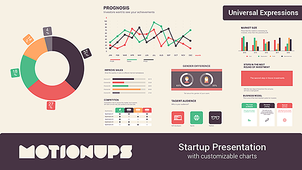 Startup Infographics Presentation - Download Videohive 19903680