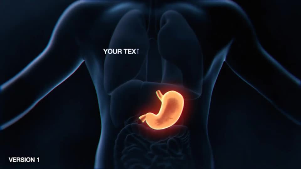 Stomach Elements 2 Videohive 33200534 After Effects Image 1