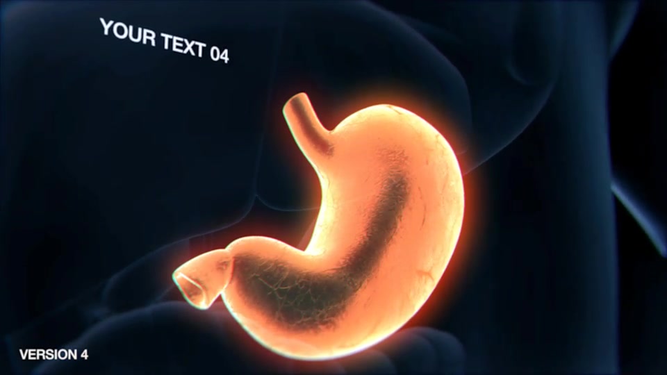 Stomach Elements 2 Videohive 33200534 After Effects Image 11