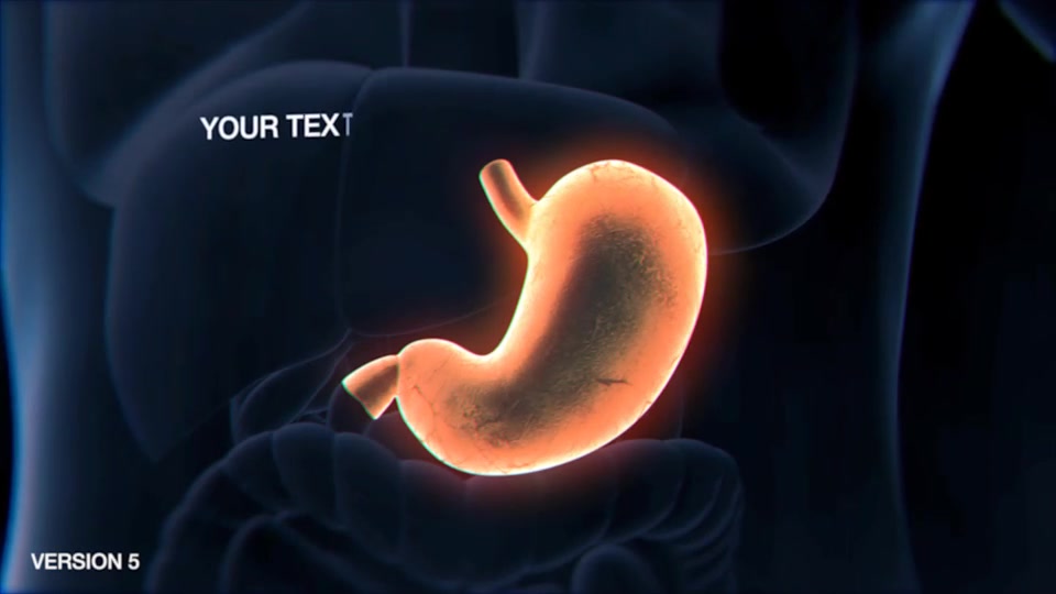Stomach Elements 2 Videohive 33200534 After Effects Image 12