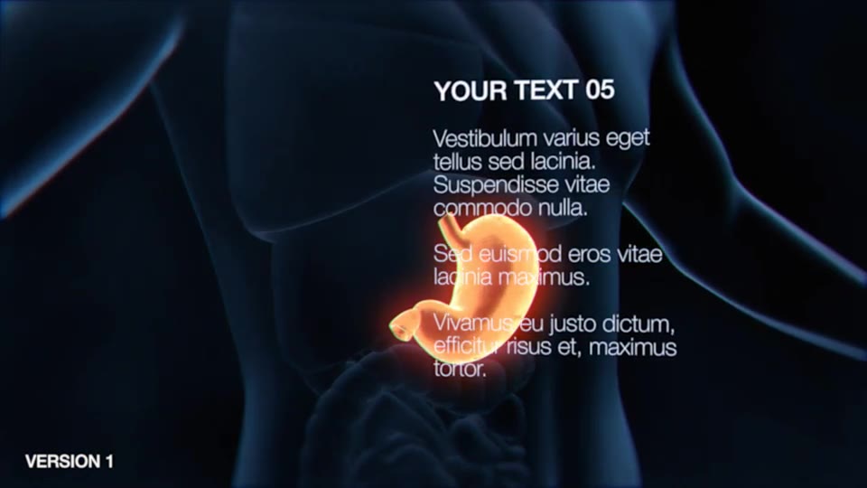 Stomach Elements 2 Videohive 33200534 After Effects Image 2
