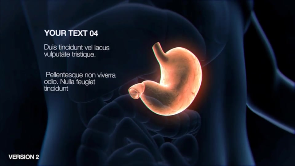 Stomach Elements 2 Videohive 33200534 After Effects Image 4
