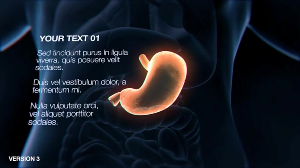 Stomach Elements 2 Videohive 33200534 After Effects Image 6