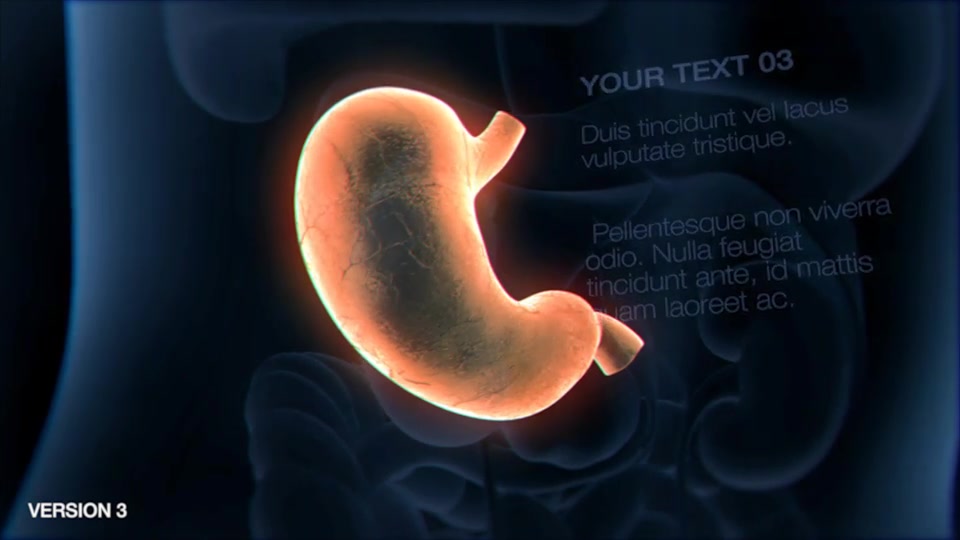 Stomach Elements 2 Videohive 33200534 After Effects Image 7